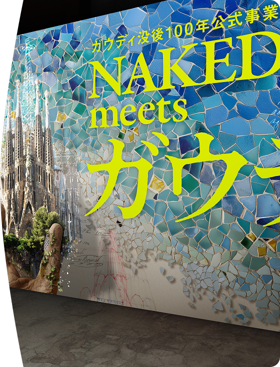 100 Euro Gaudí 2026 記念 証明書付 Centenario Gaudí - Colección